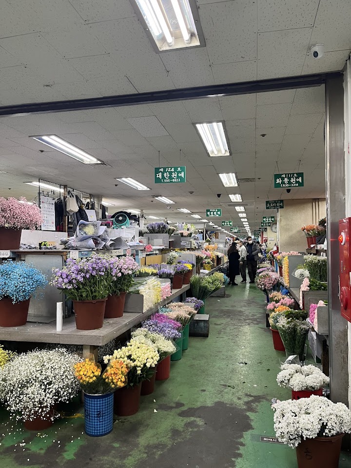 早朝の高速ターミナル花市場は、エスカレーターを降りるとひんやりとした空気と花の香りに包まれ、通路の両脇に並ぶ色鮮やかな花々が圧巻でした。